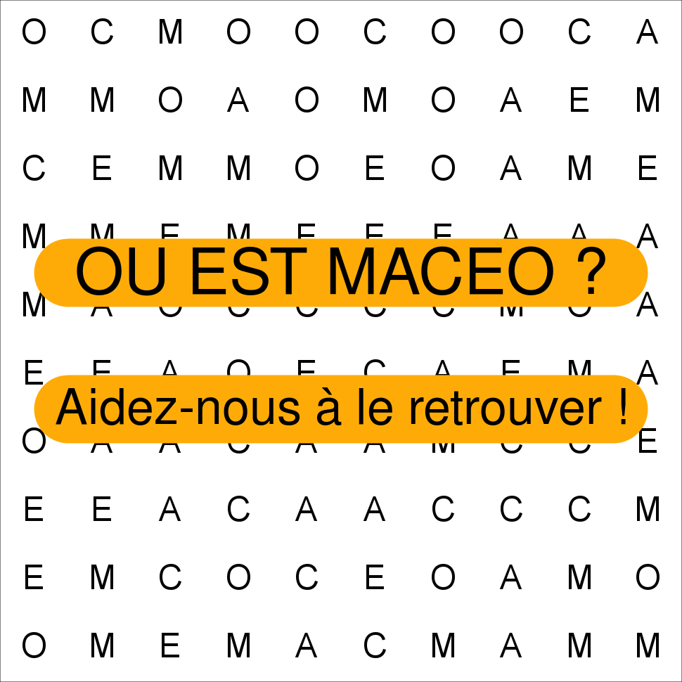 MACEO