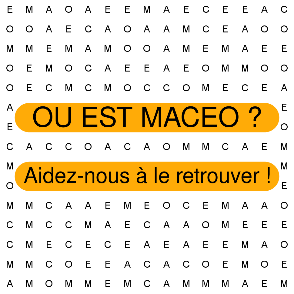 MACEO