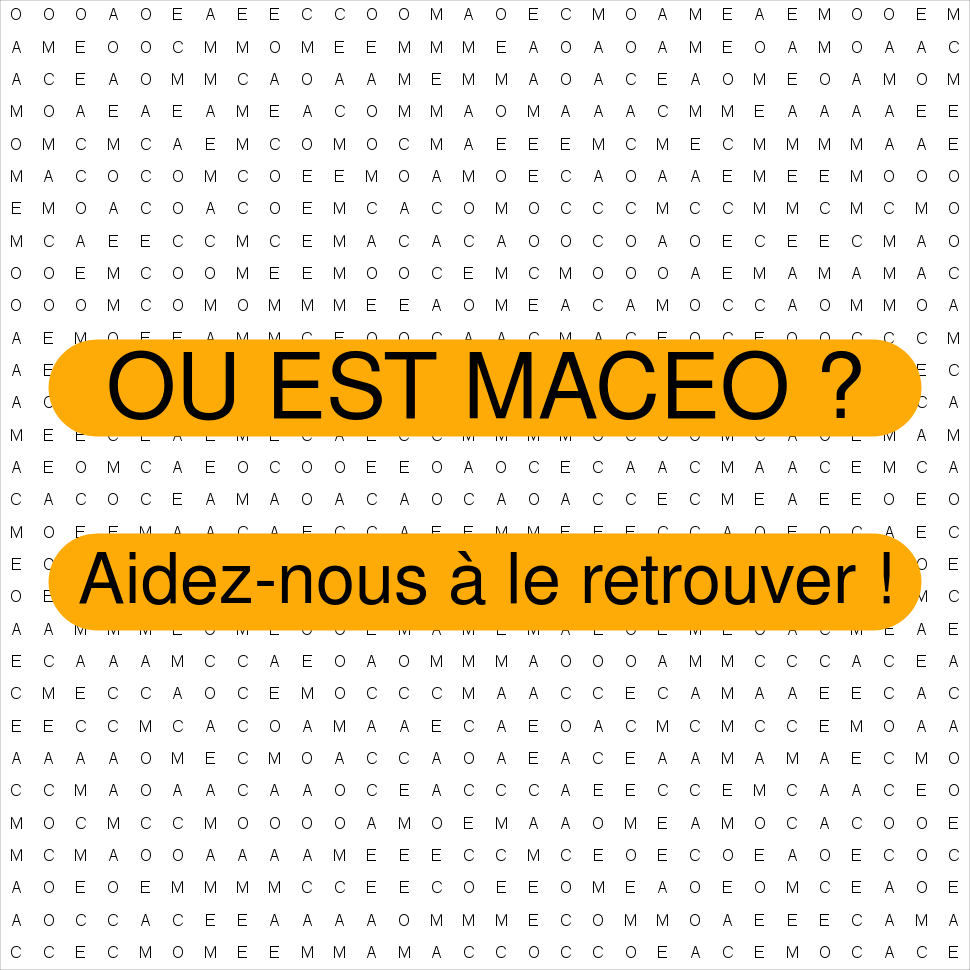 MACEO