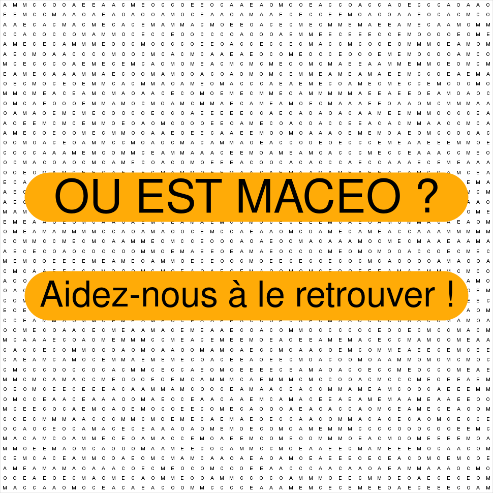MACEO