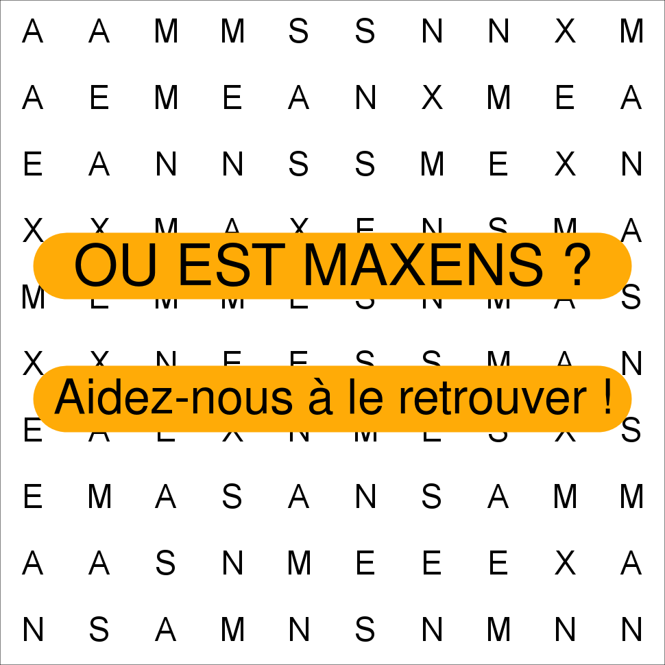 MAXENS