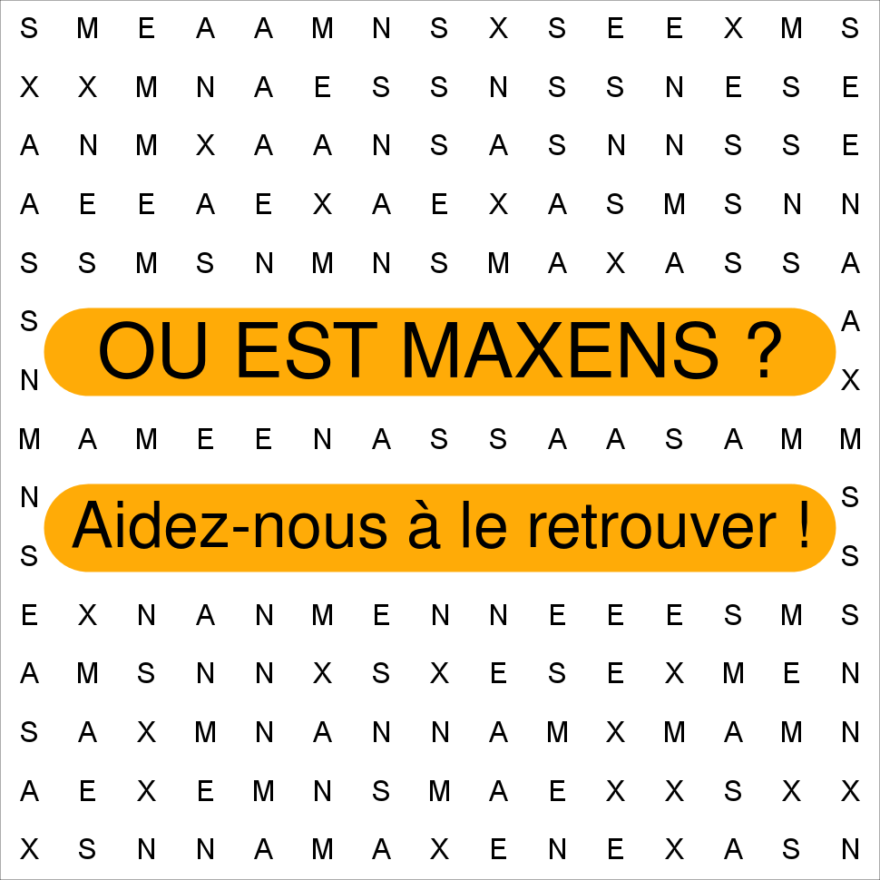 MAXENS