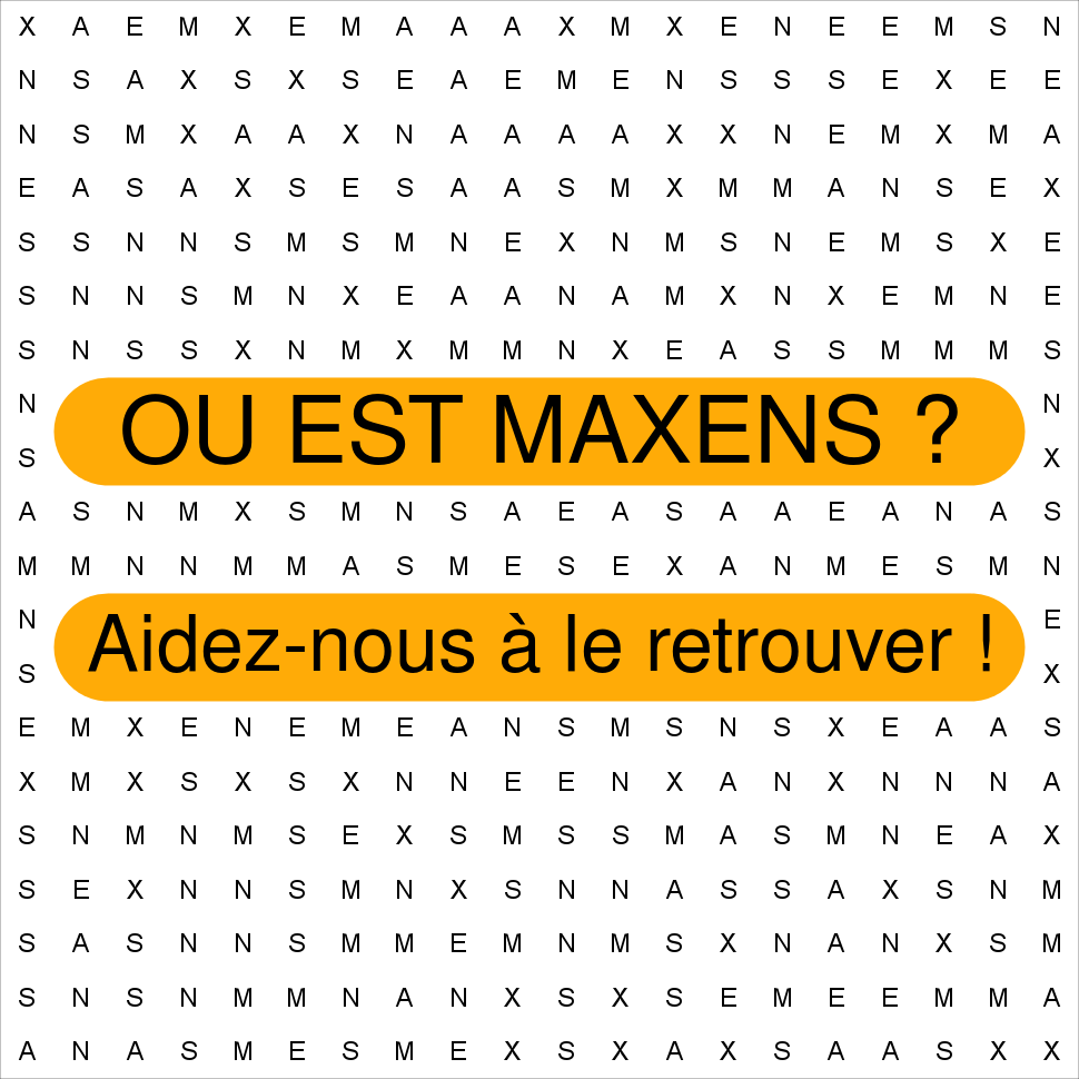 MAXENS