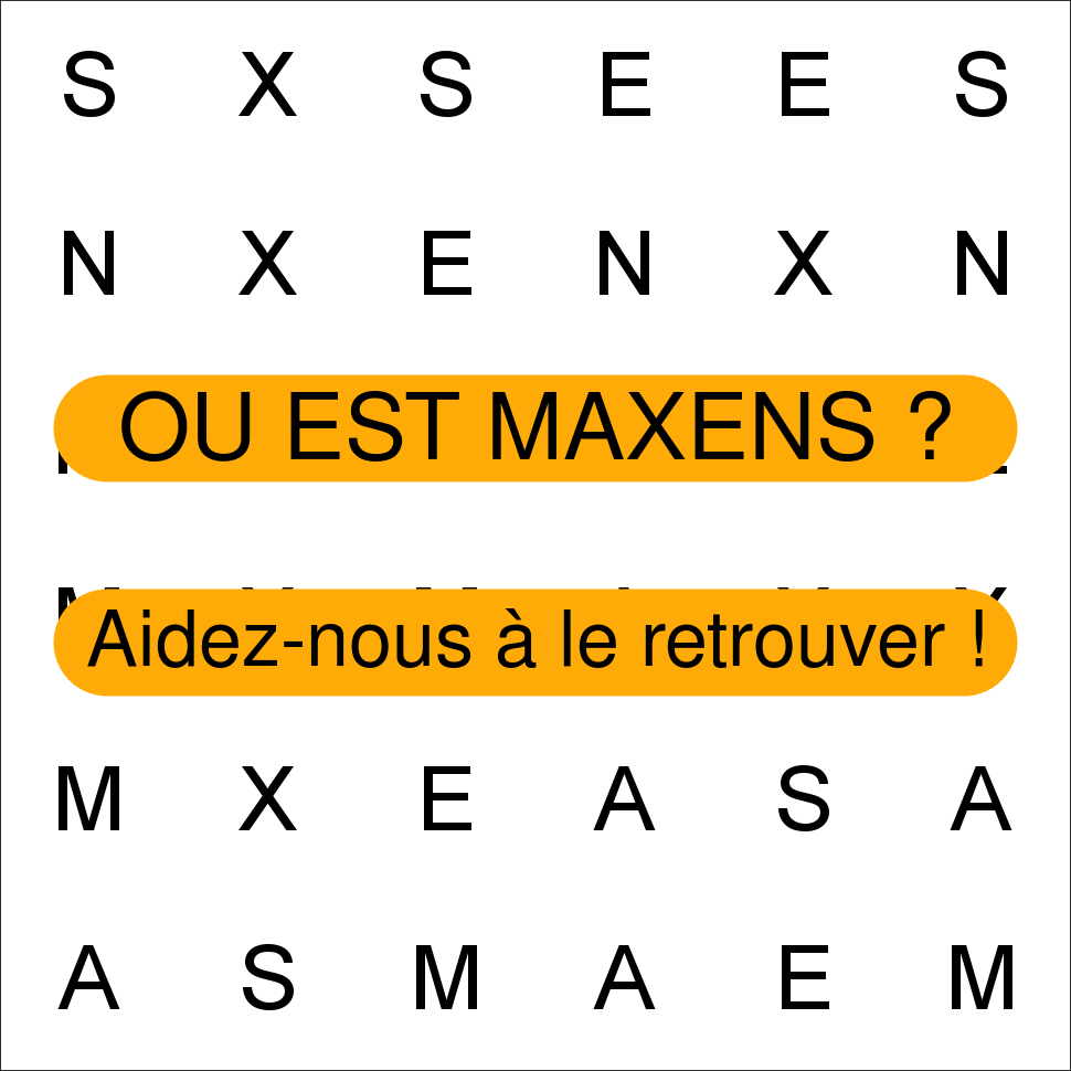MAXENS
