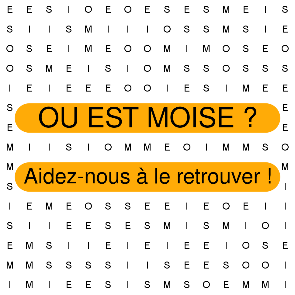 MOISE