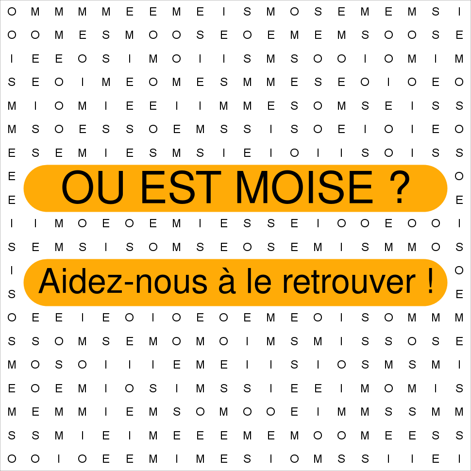 MOISE