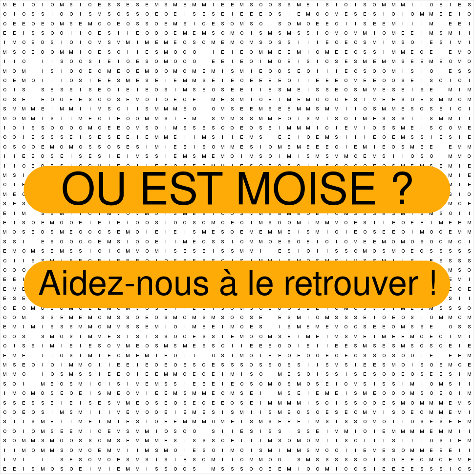 MOISE