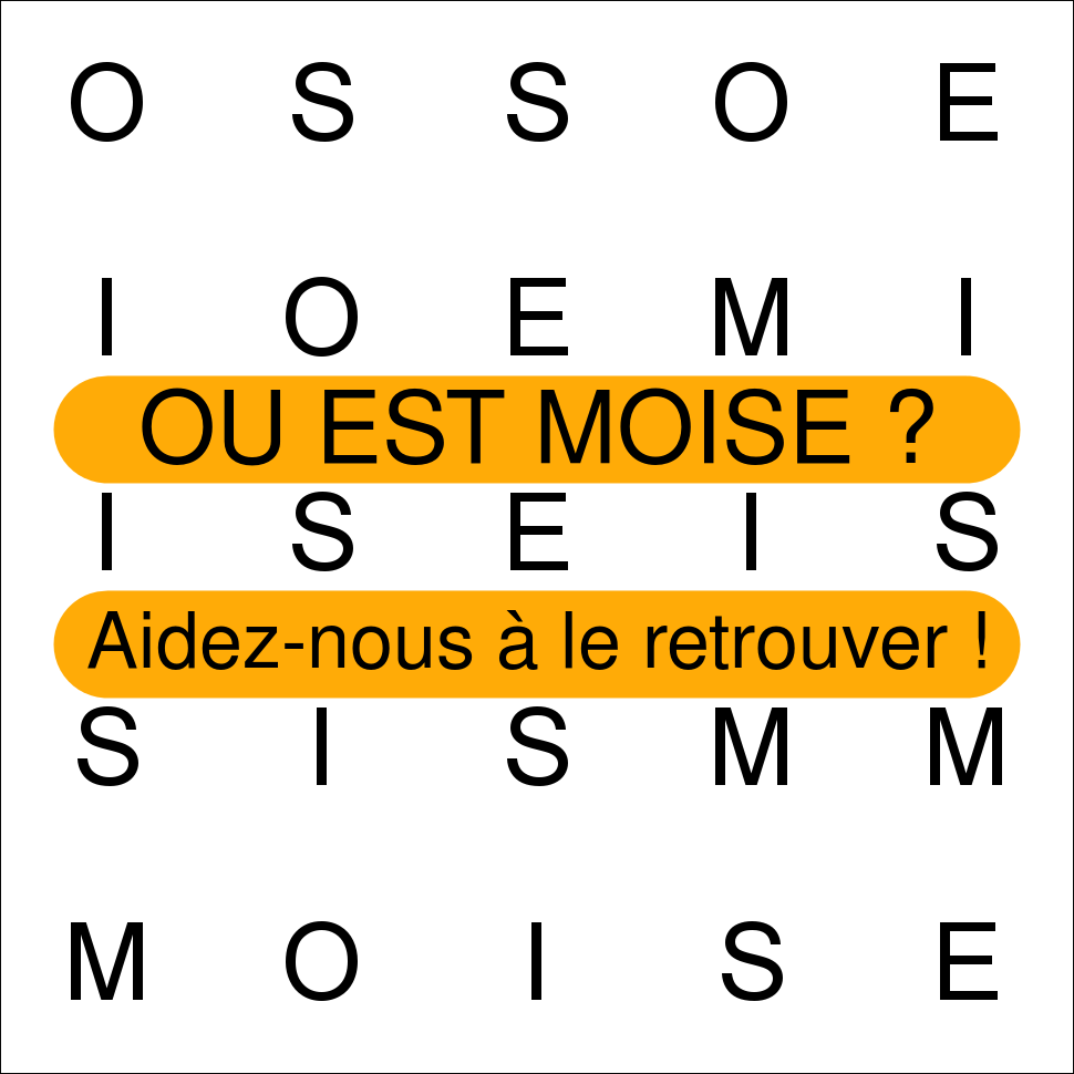 MOISE