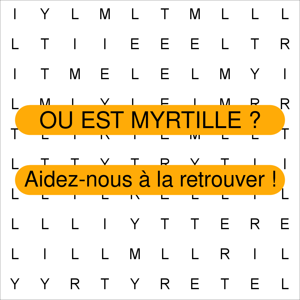 MYRTILLE