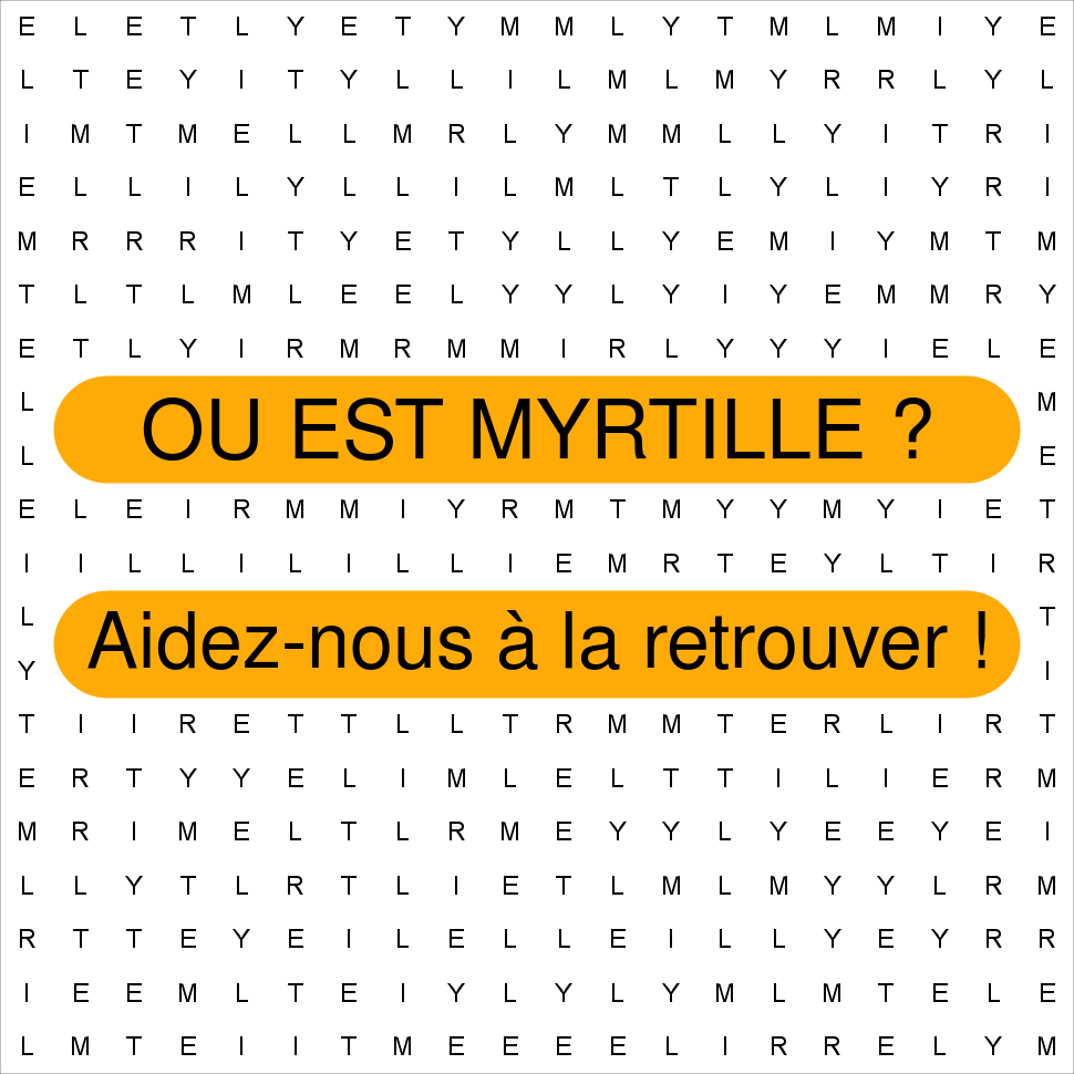 MYRTILLE