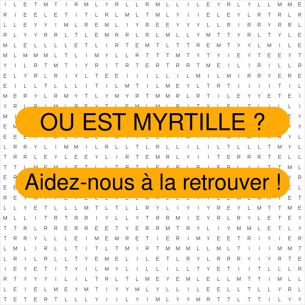 MYRTILLE