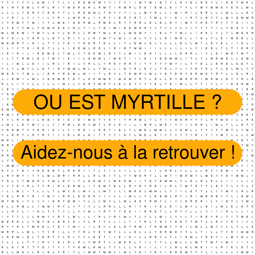 MYRTILLE