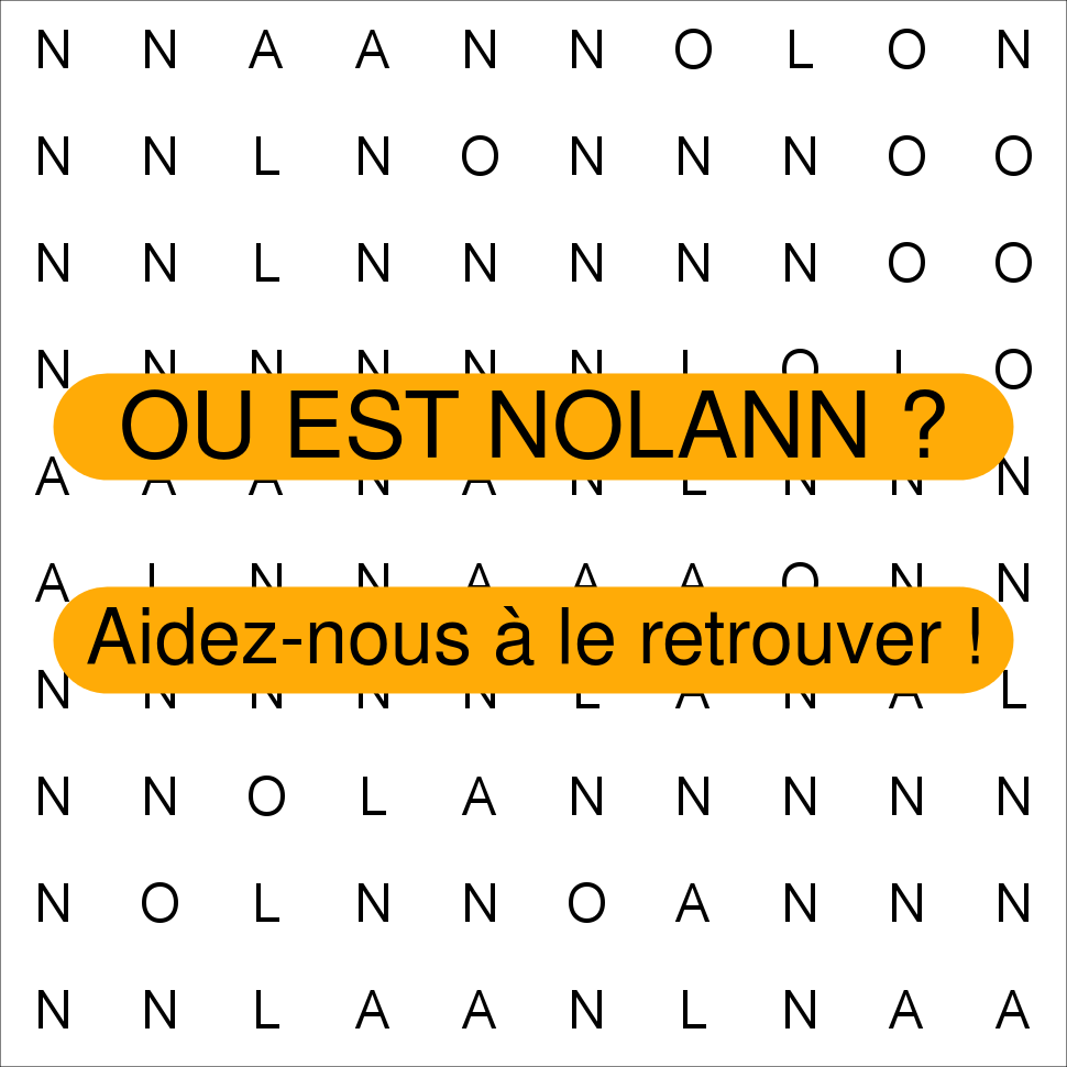 NOLANN