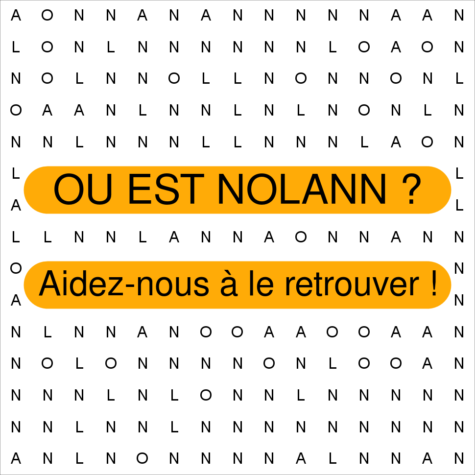 NOLANN