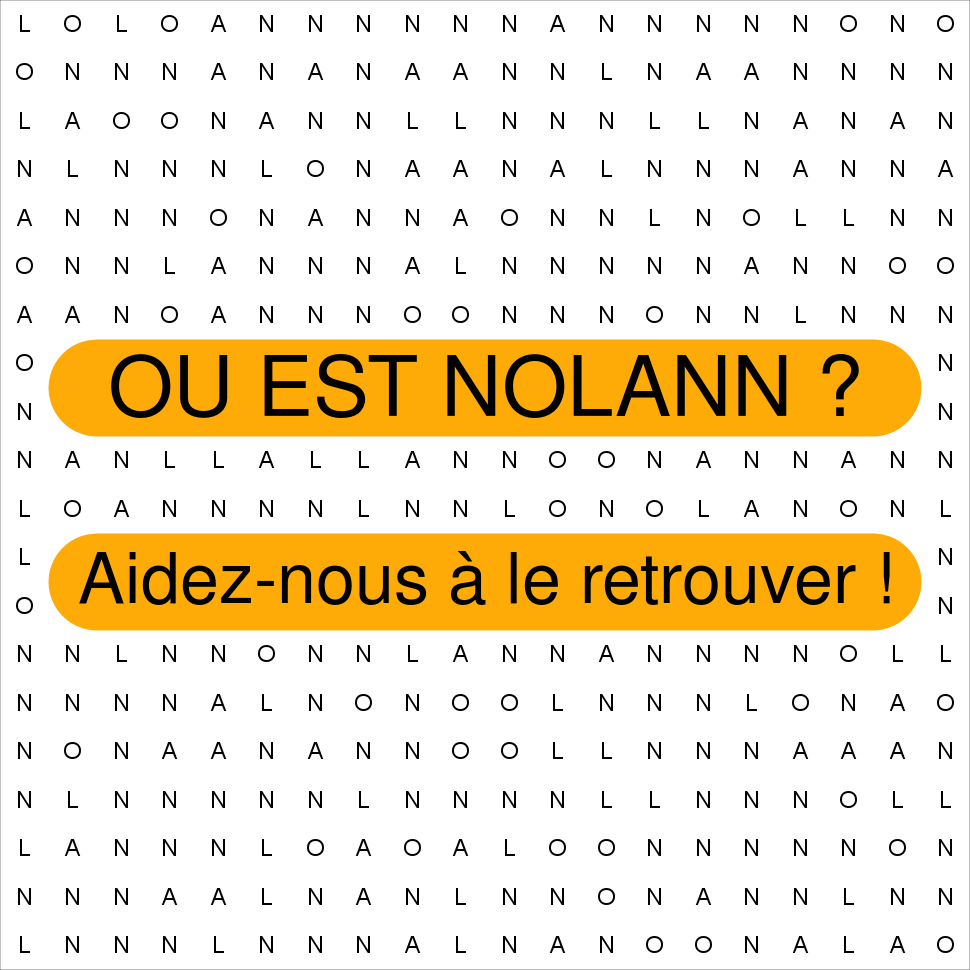 NOLANN