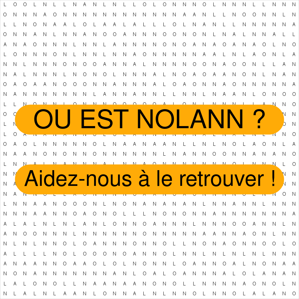 NOLANN