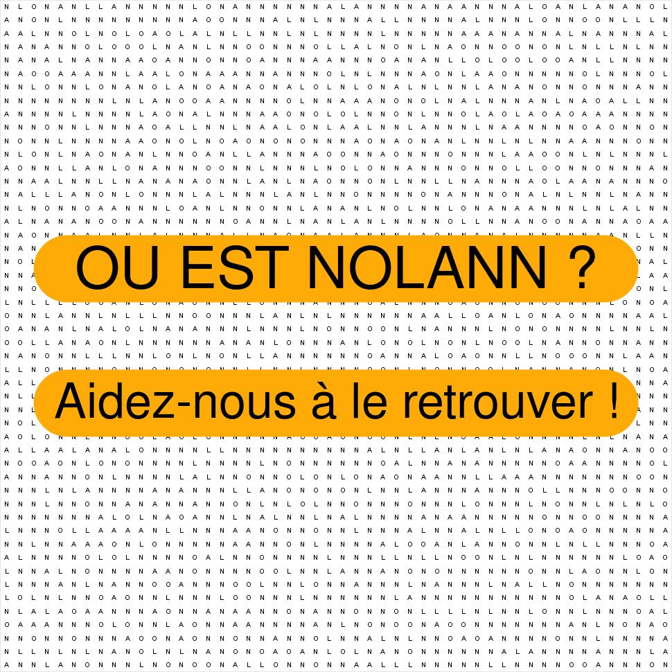 NOLANN