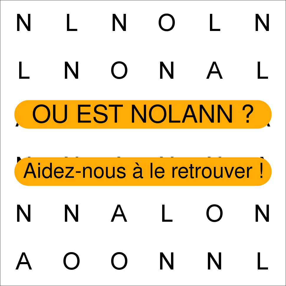 NOLANN