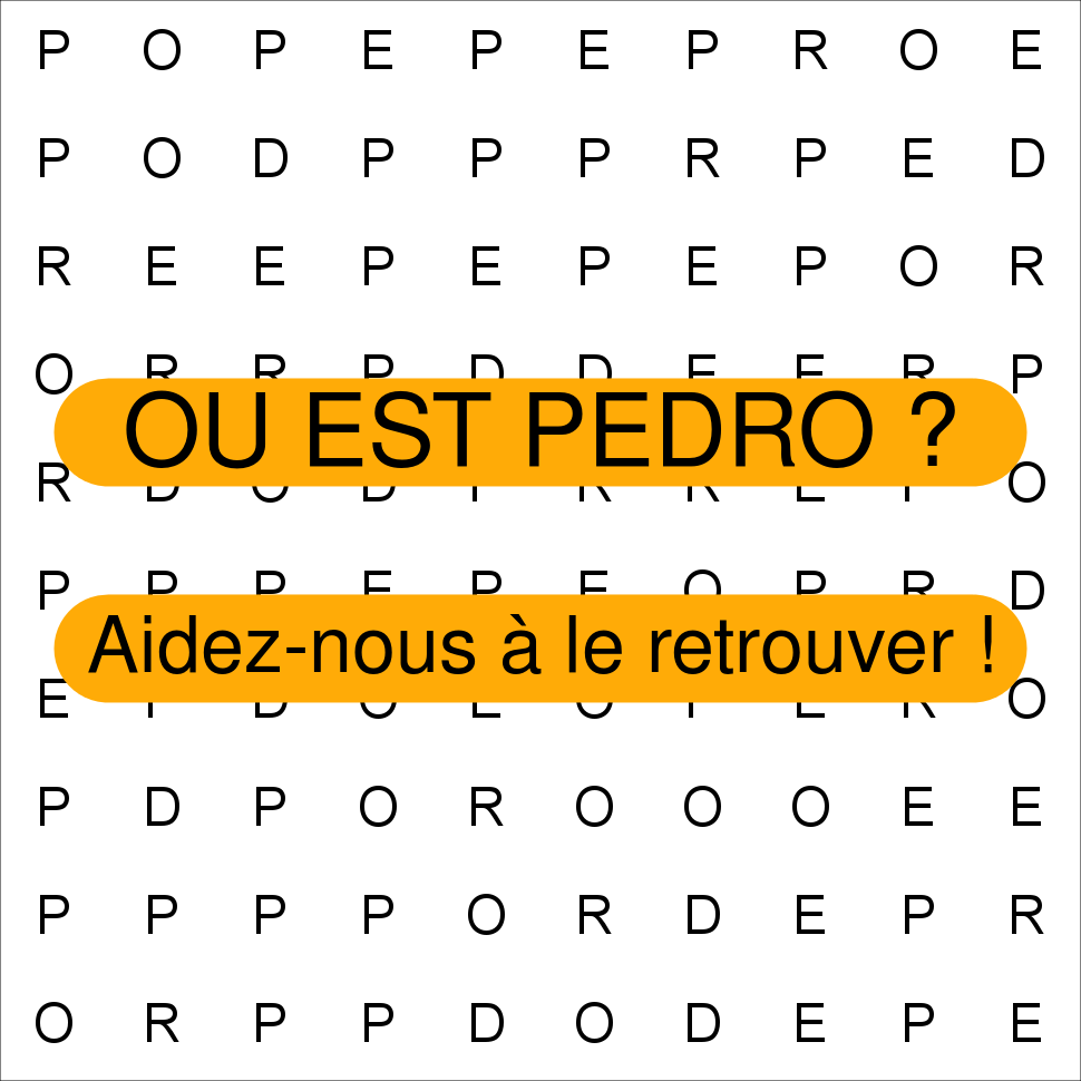 PEDRO