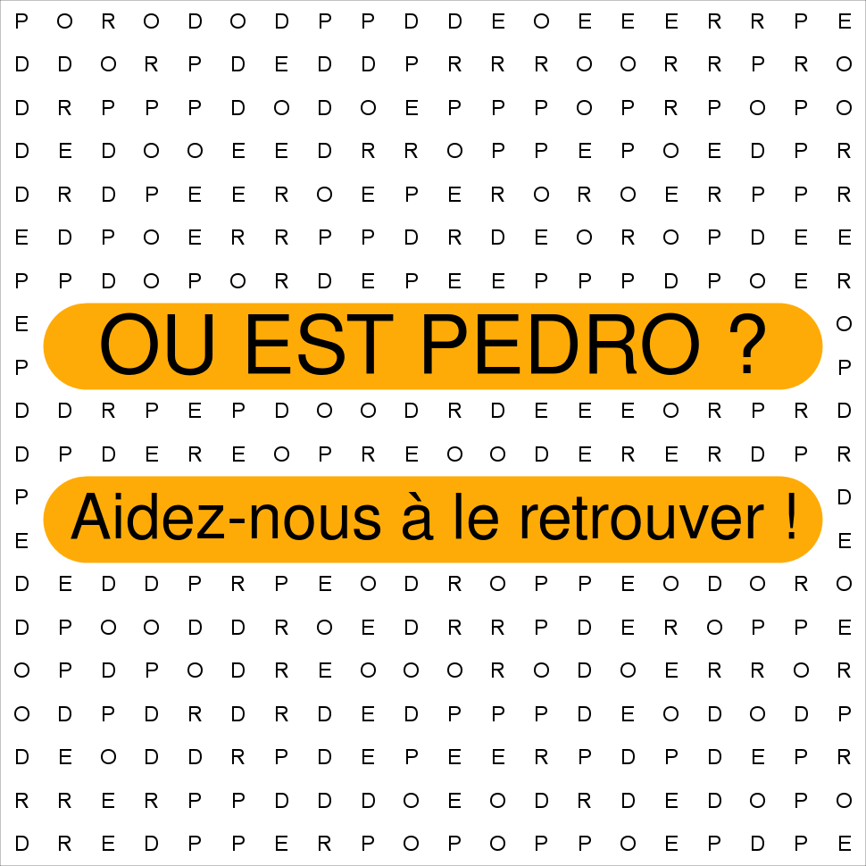 PEDRO