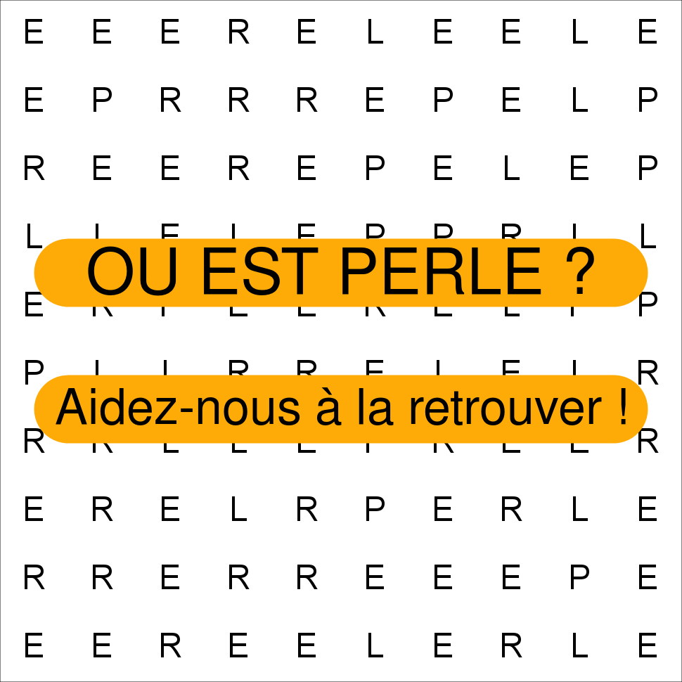 PERLE