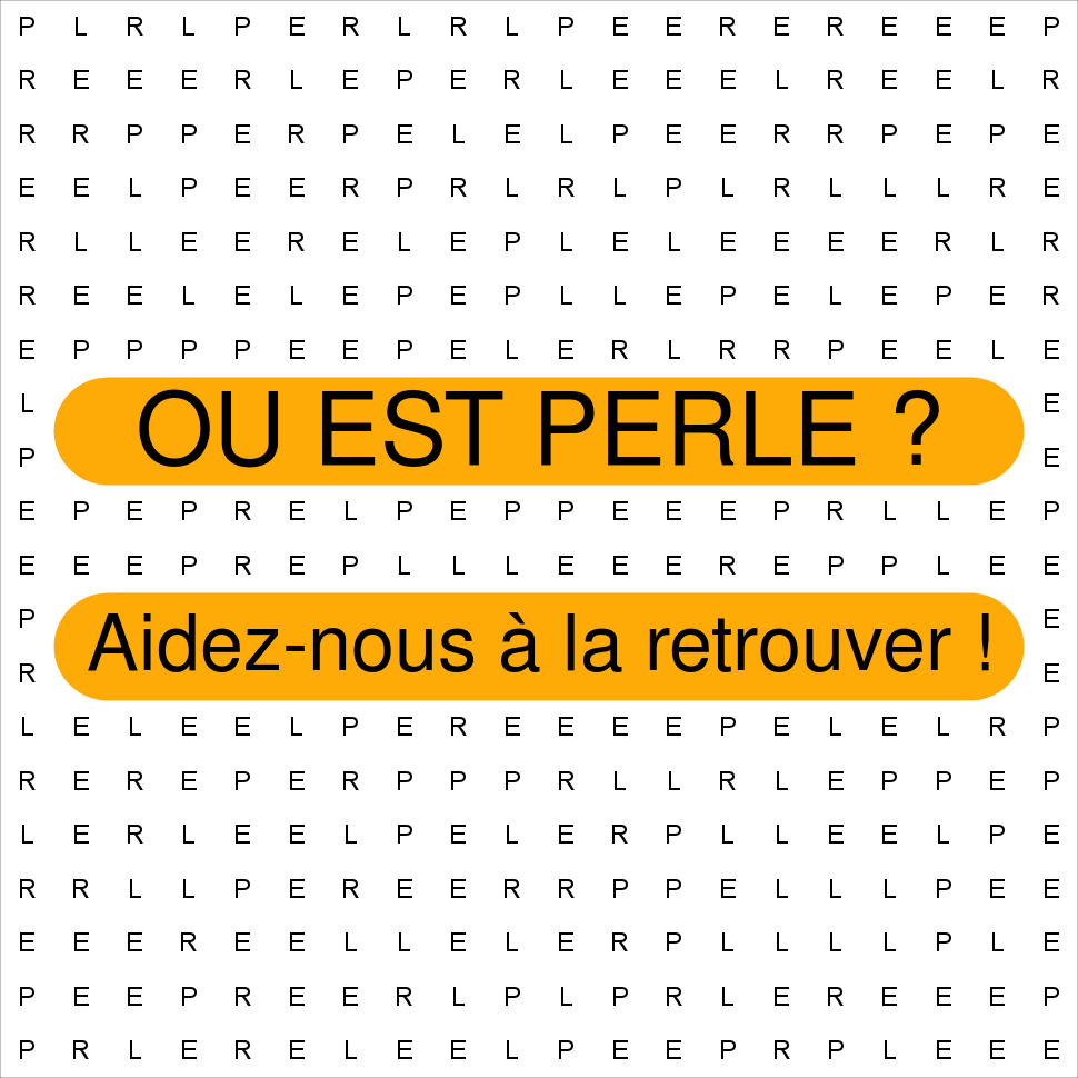 PERLE