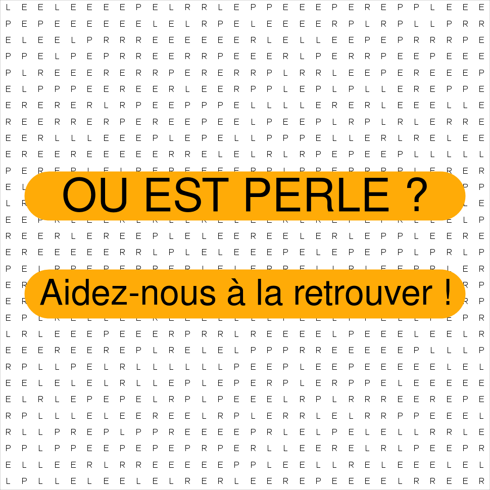 PERLE