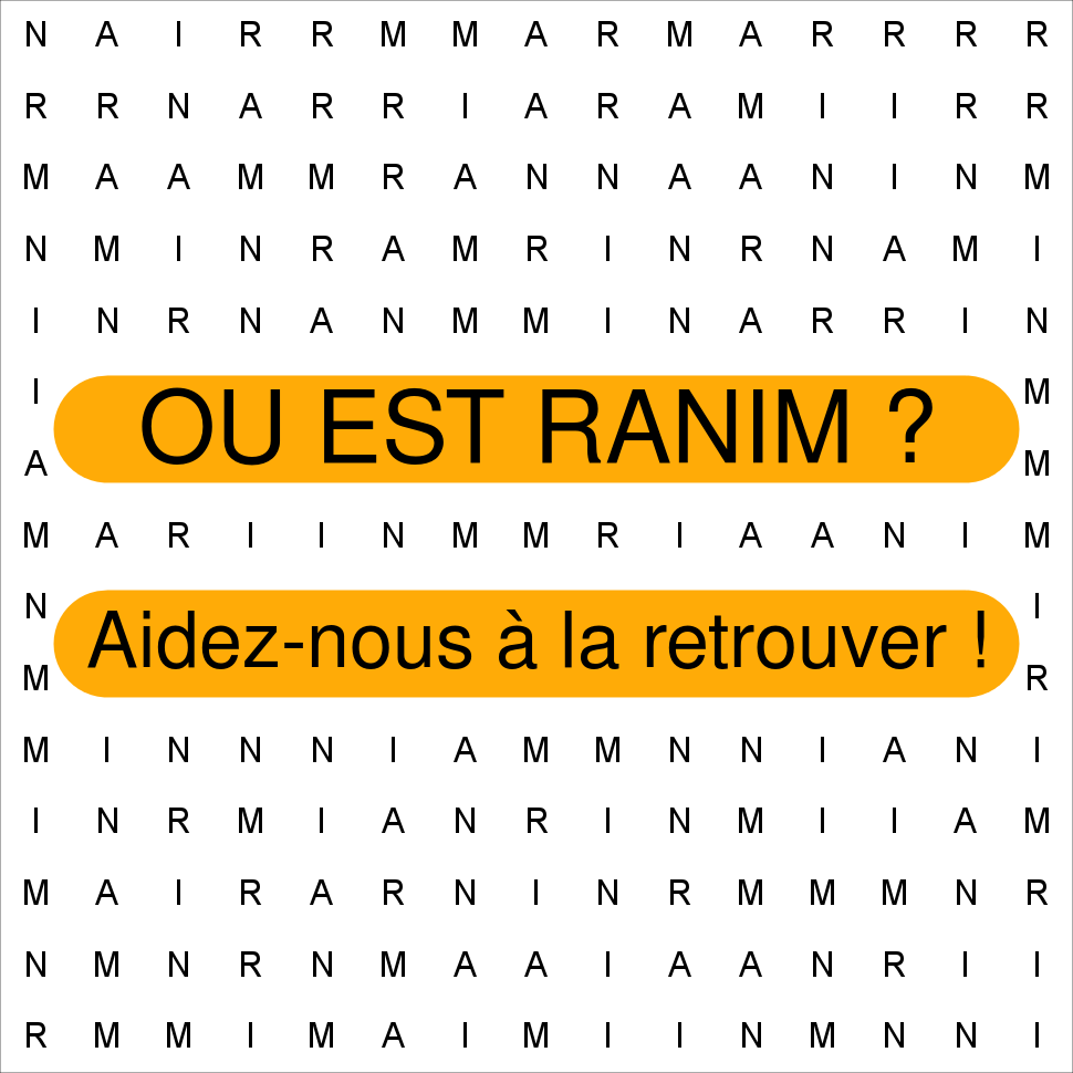 RANIM