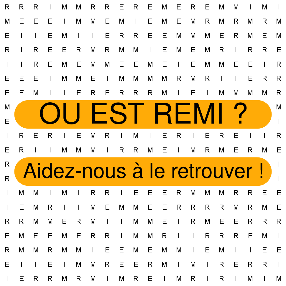 REMI