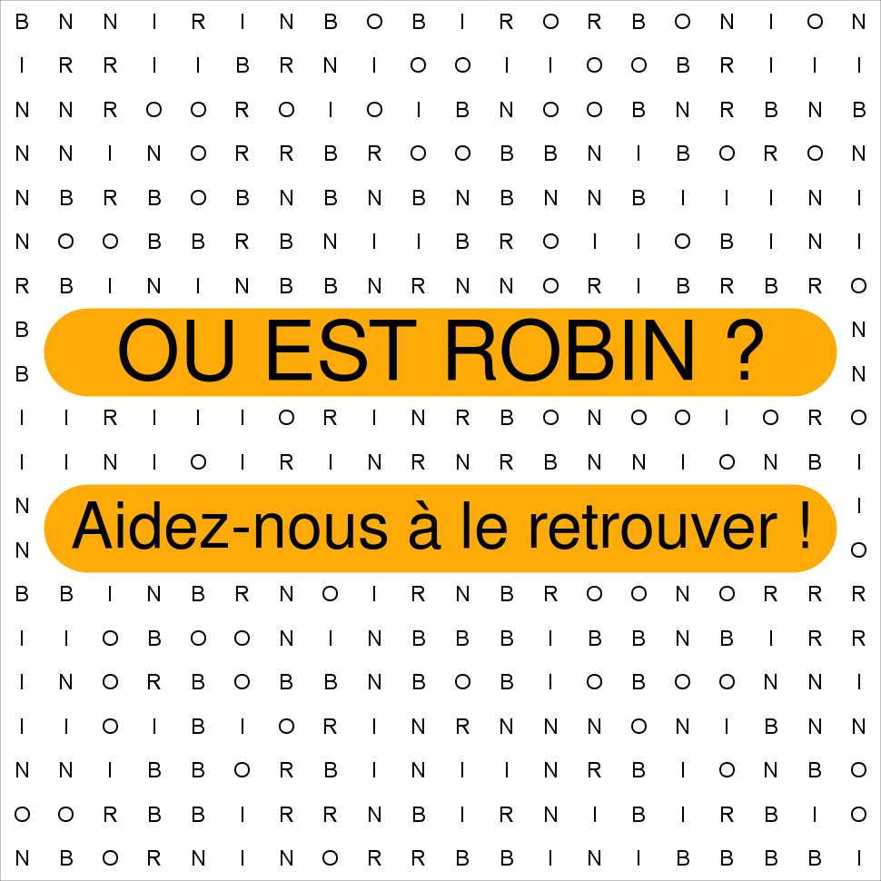 ROBIN