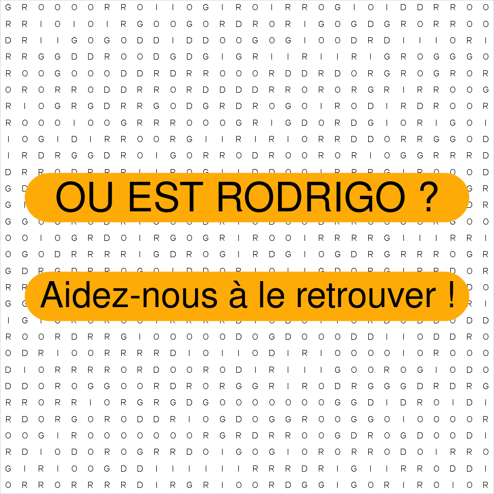RODRIGO