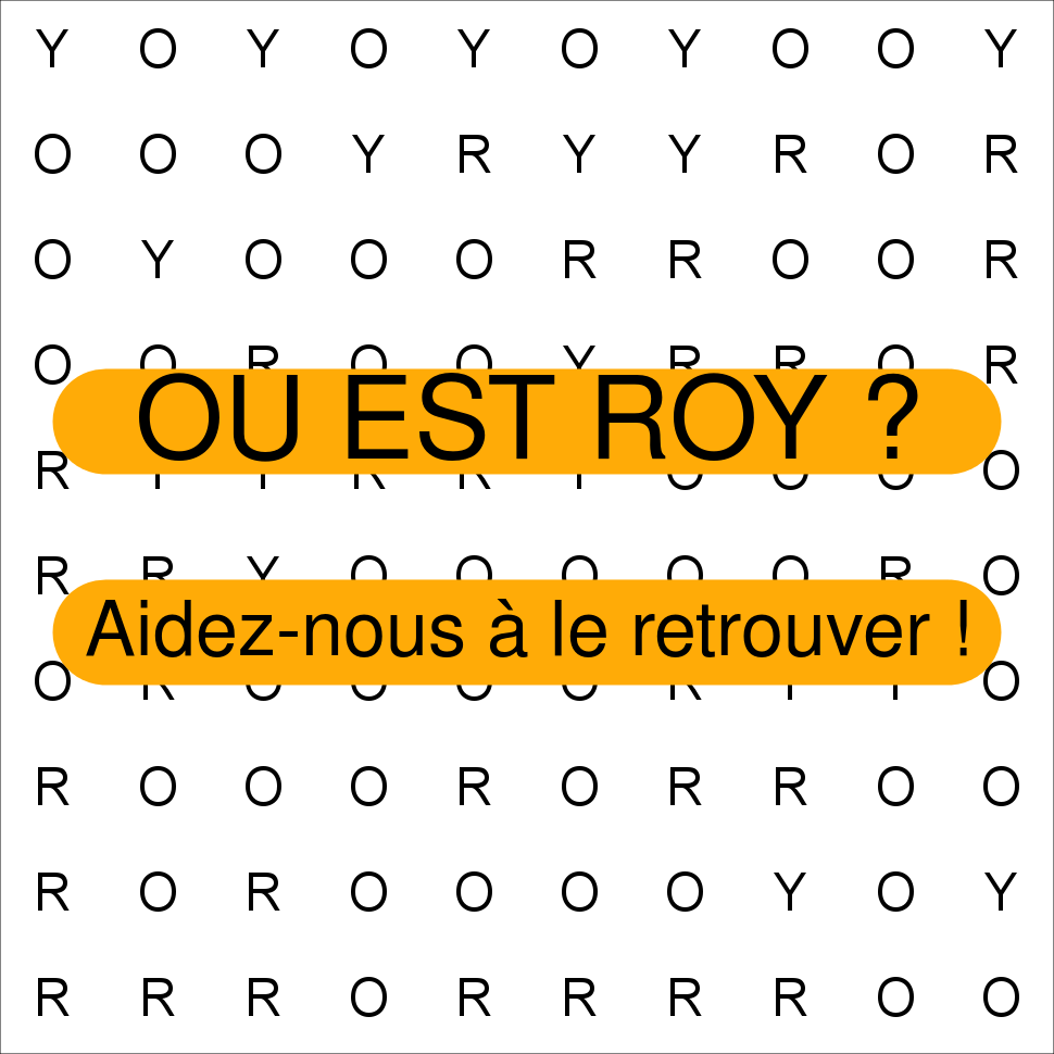 ROY