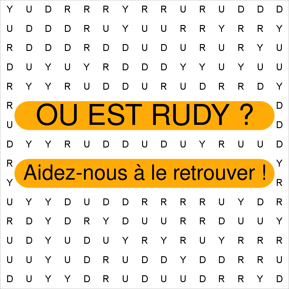 RUDY