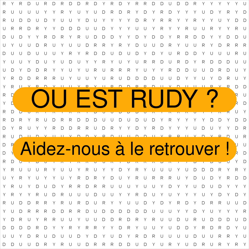 RUDY