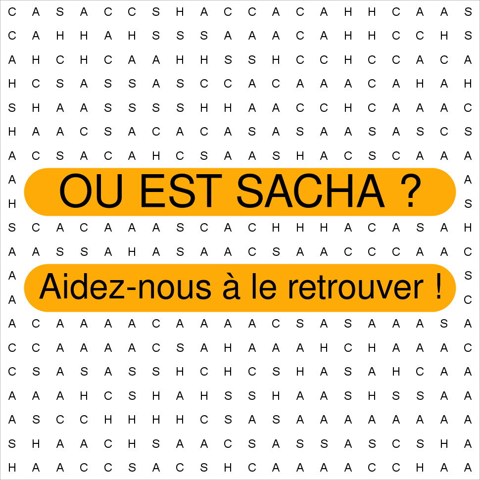 SACHA