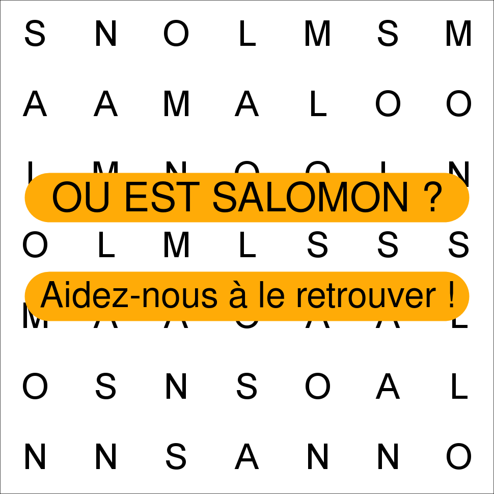 SALOMON