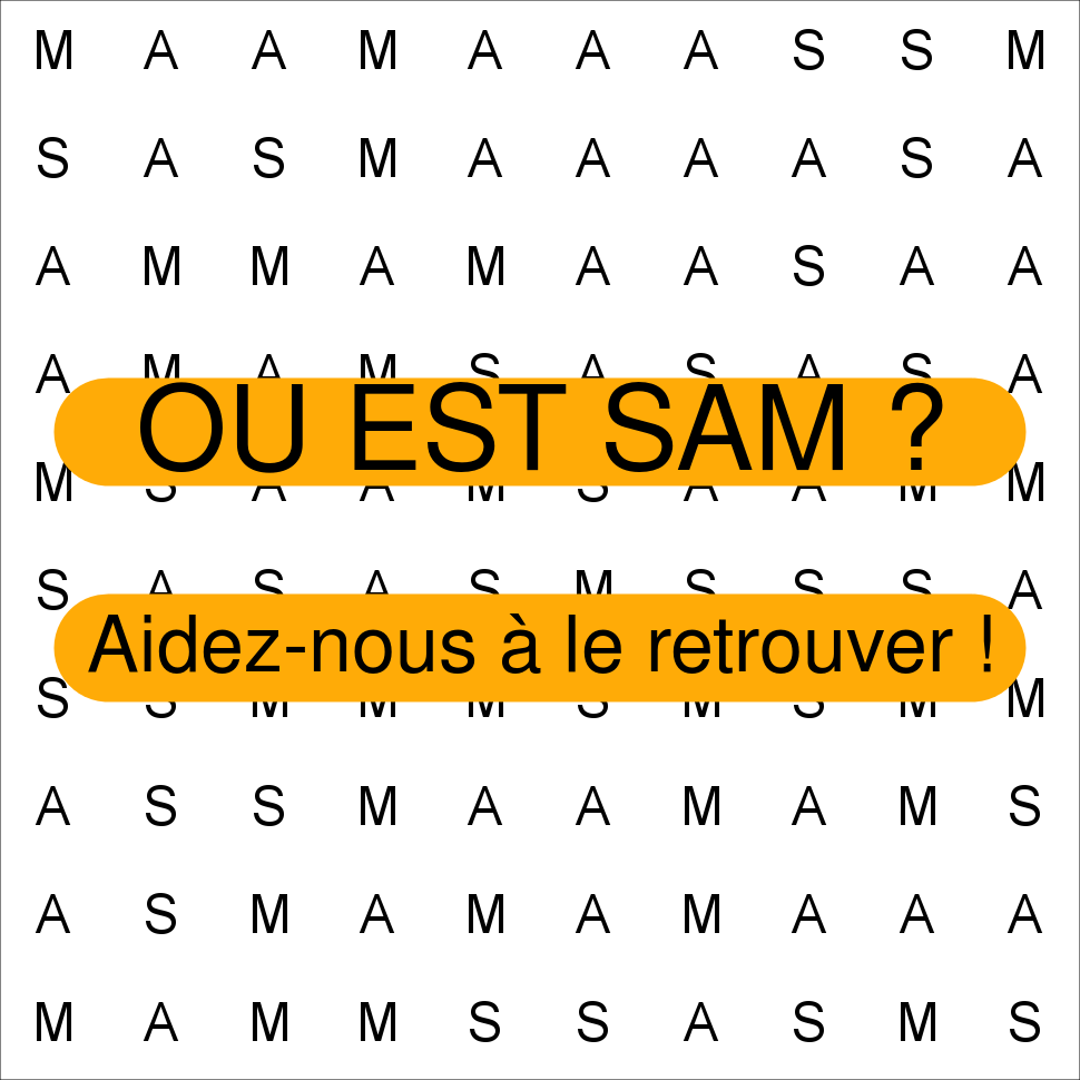 SAM
