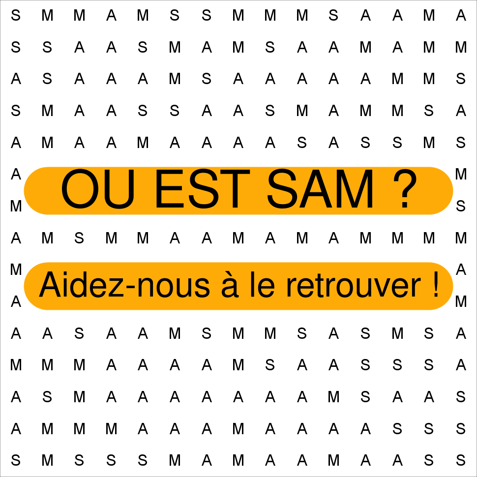 SAM