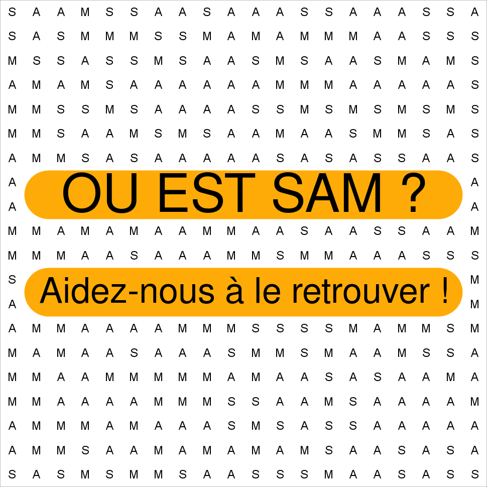 SAM