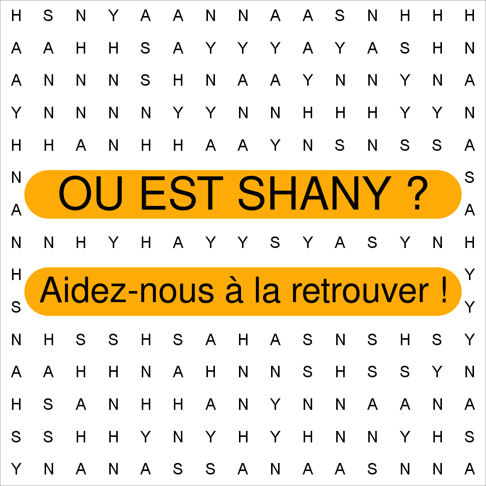 SHANY
