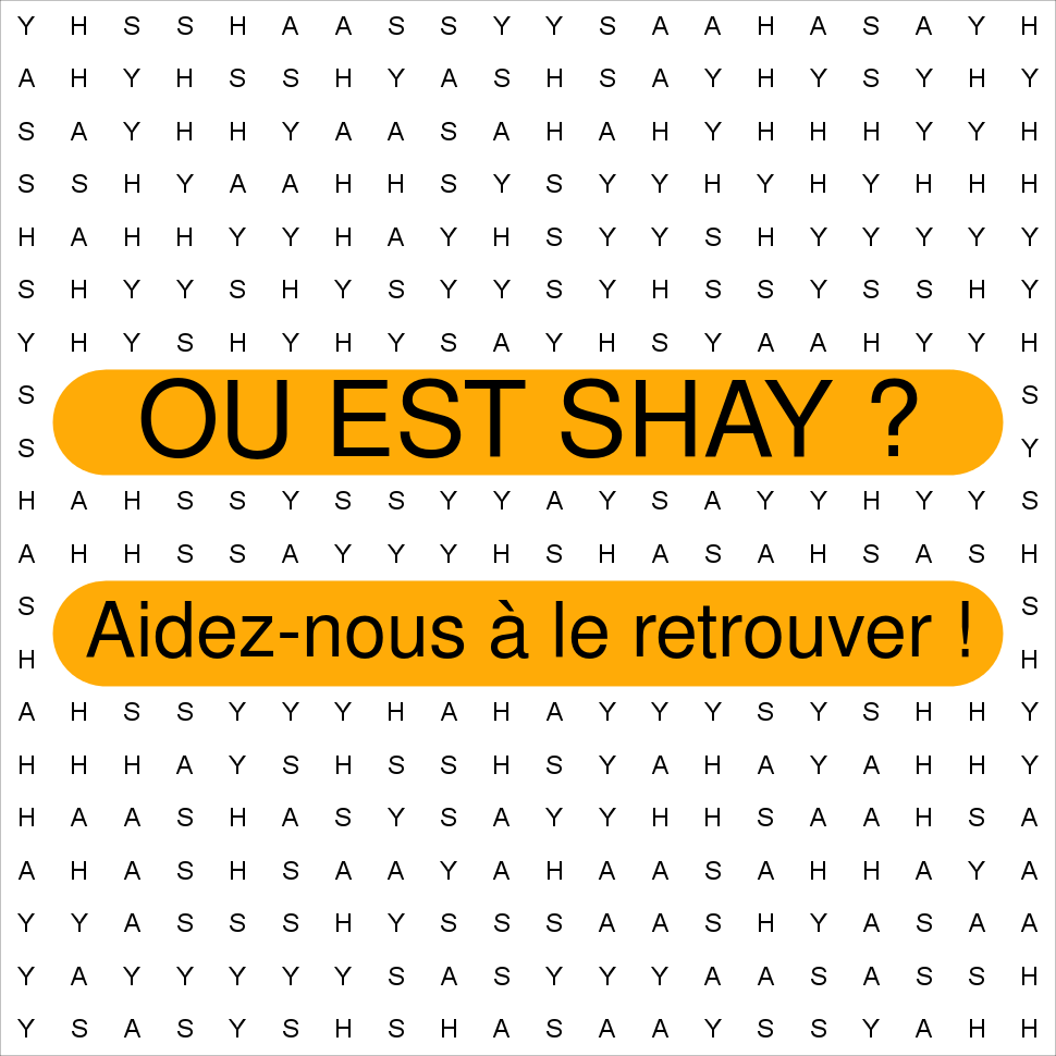 SHAY