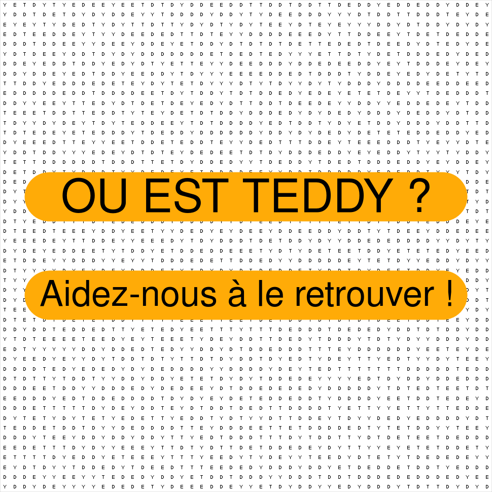 TEDDY