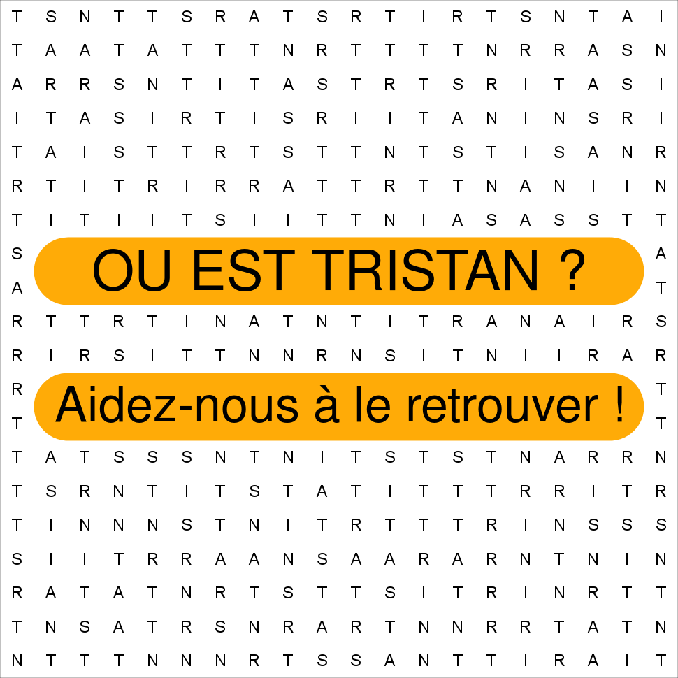 TRISTAN
