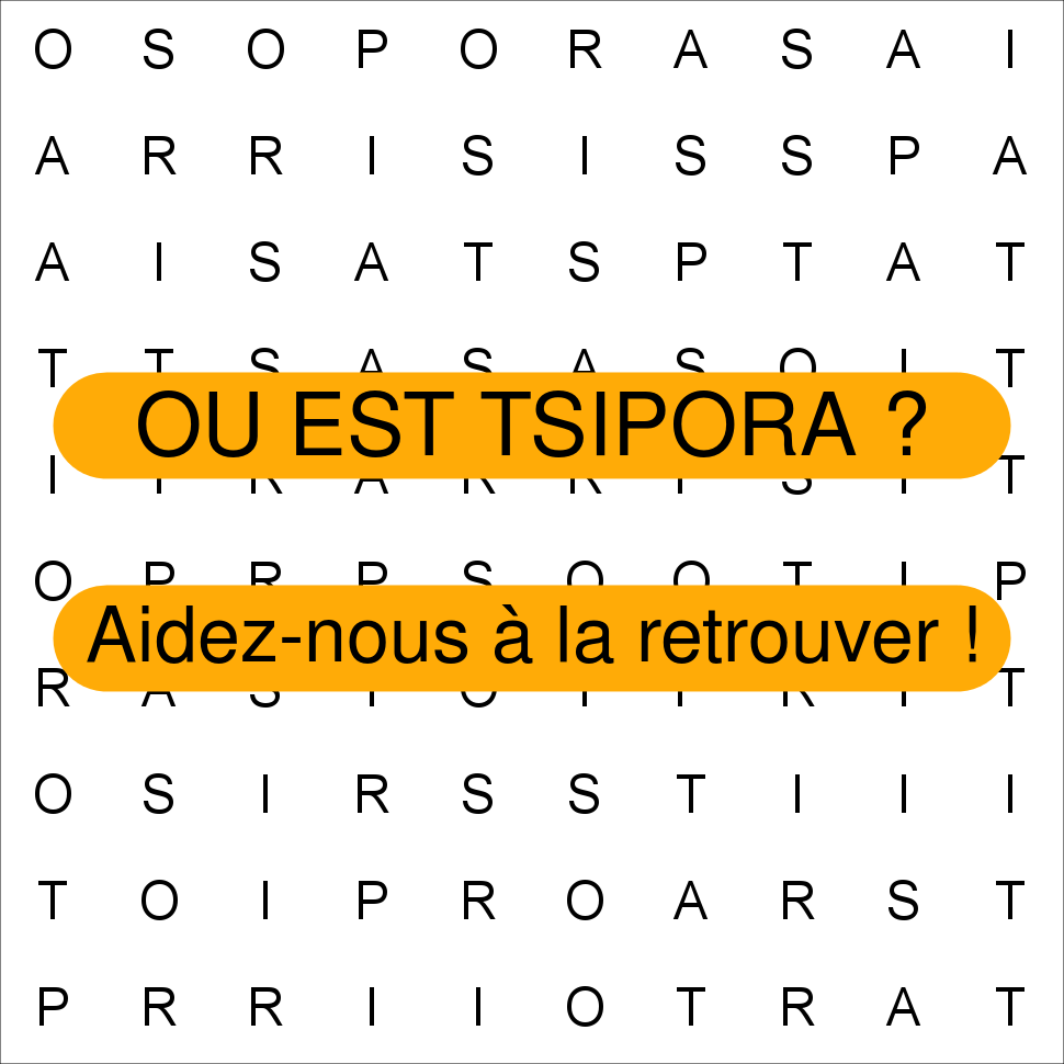TSIPORA
