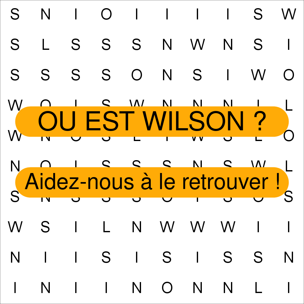 WILSON