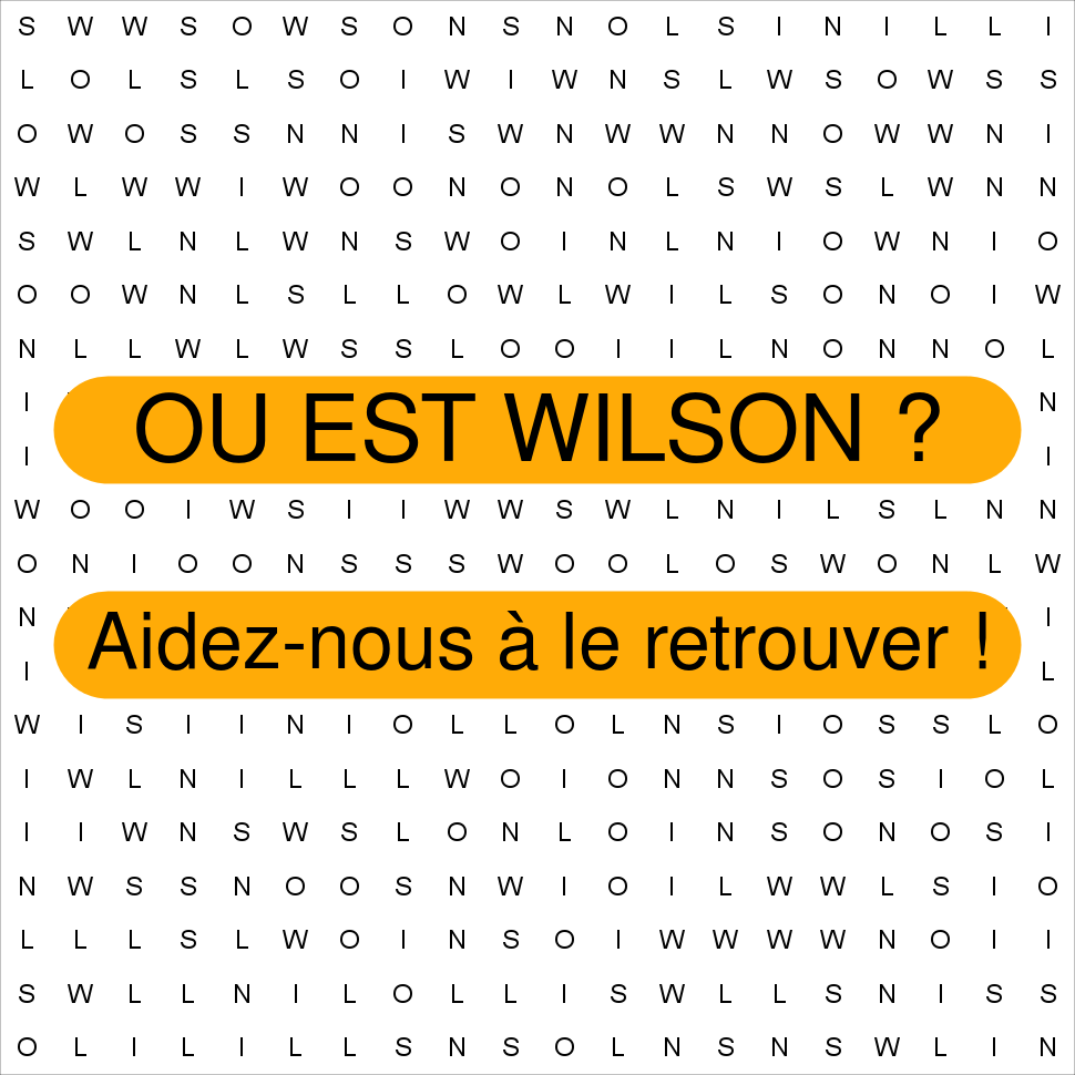 WILSON