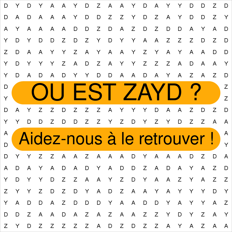 ZAYD