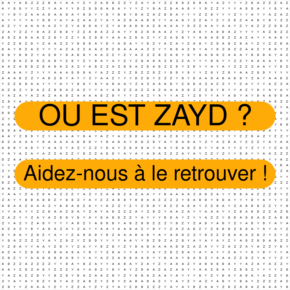 ZAYD