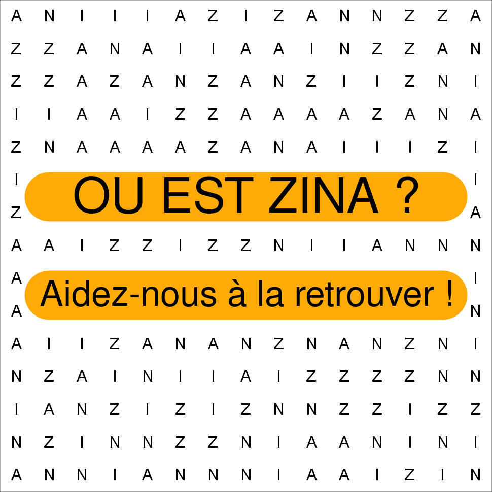 ZINA