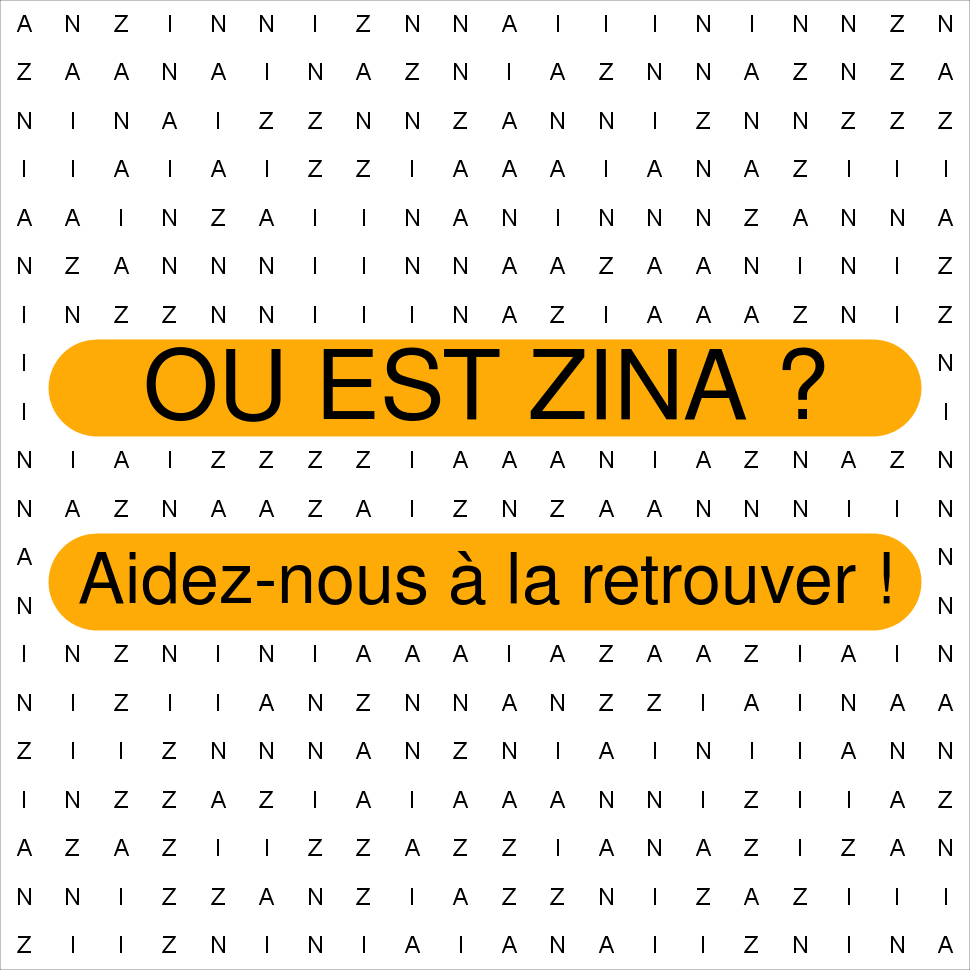 ZINA